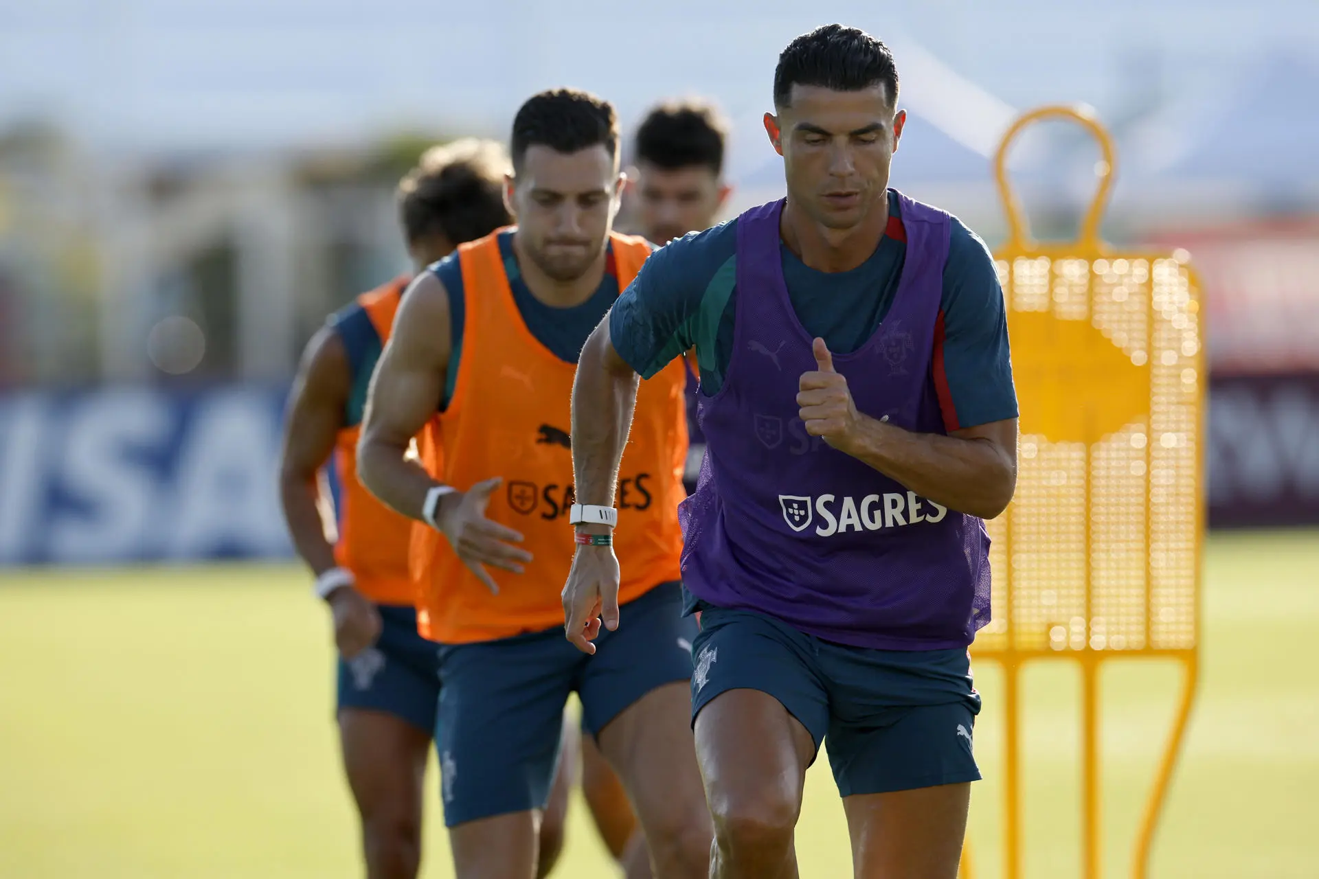 Houston teme invasão de moscas-varejeiras antes da chegada de Cristiano Ronaldo