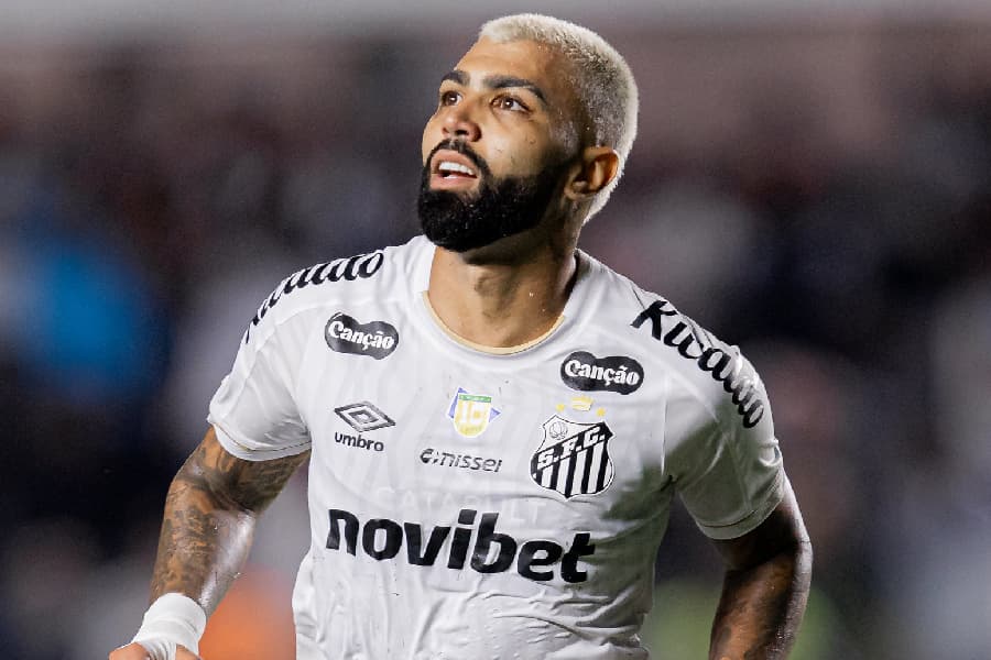 Gabigol tem média de um gol a cada duas partidas nesta temporada - Raul Baretta/Santos FC