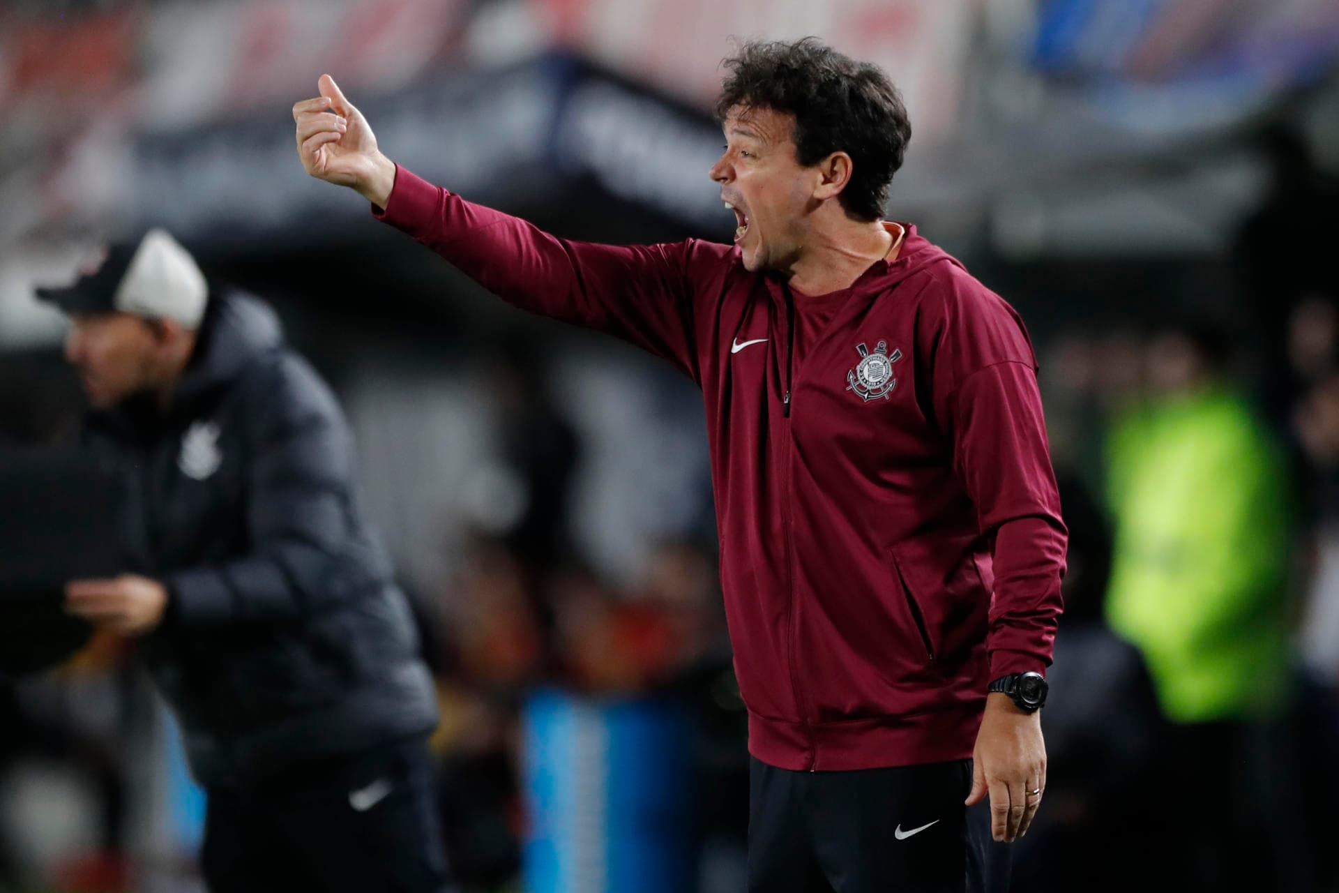 Fernando Diniz, técnico do Corinthians (EFE/ Demian Alday)