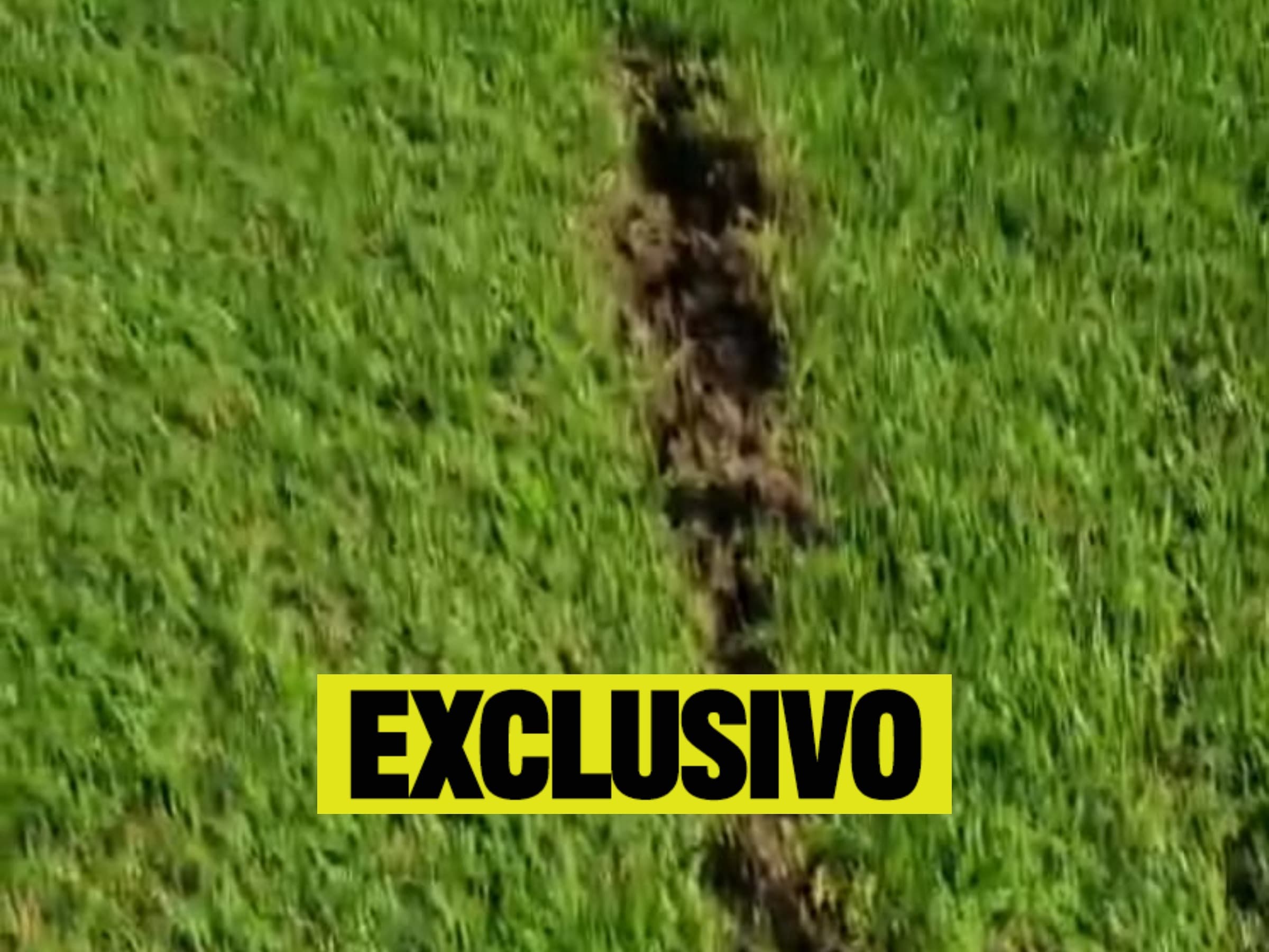 Parte do gramado da Vila depois da partida contra o Atlético-MG - Reprodução/Instagram