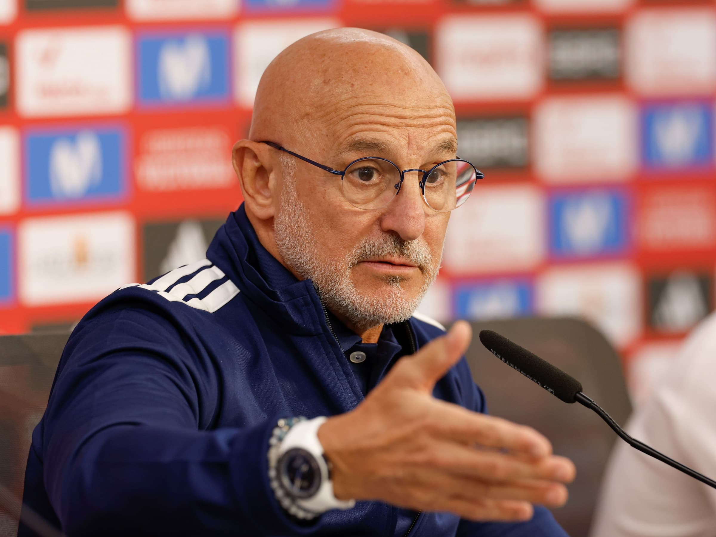 Luis de la Fuente, técnico da Espanha - EFE/ Julio Muñoz
