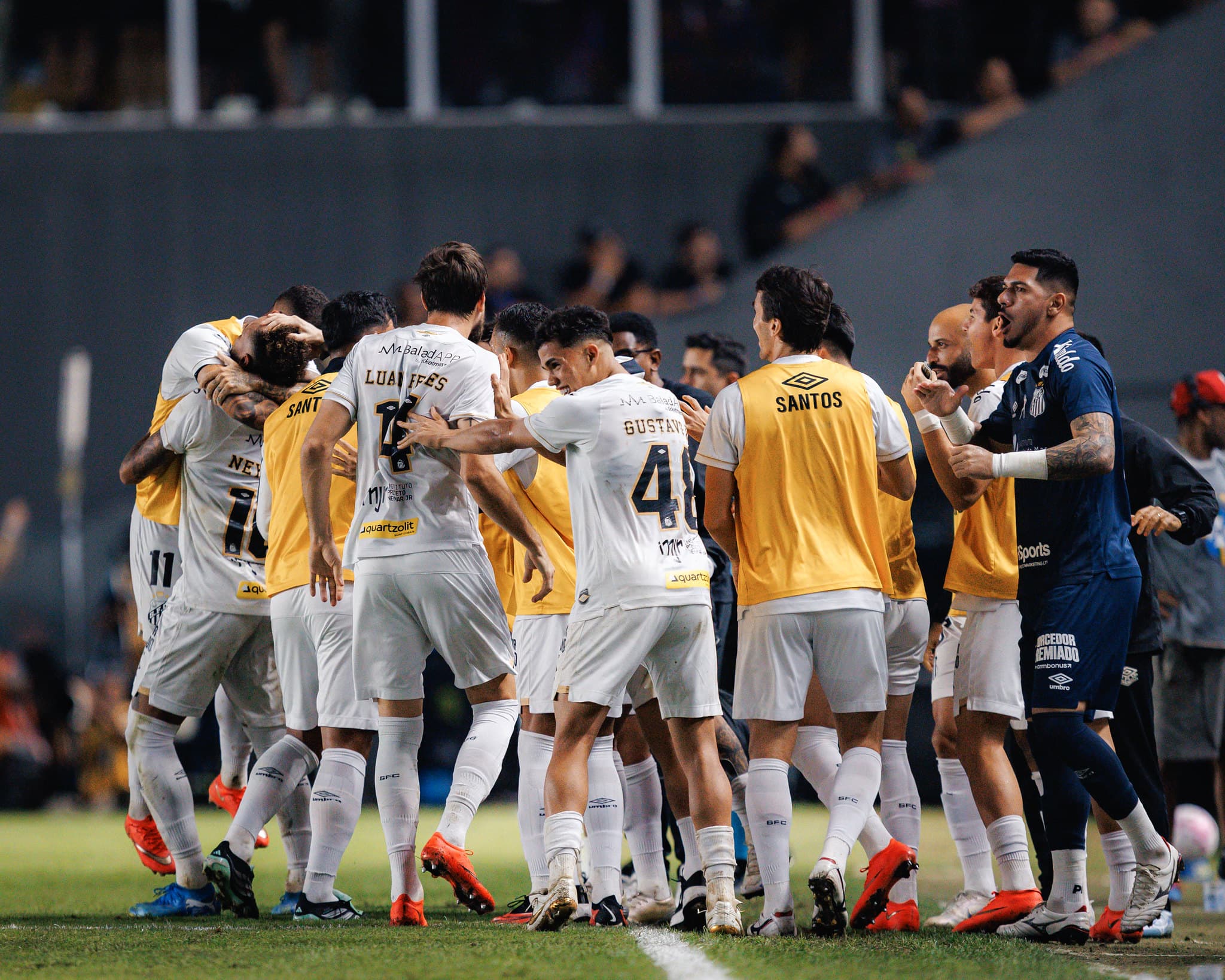 Veja as contas do Santos para ir à Libertadores